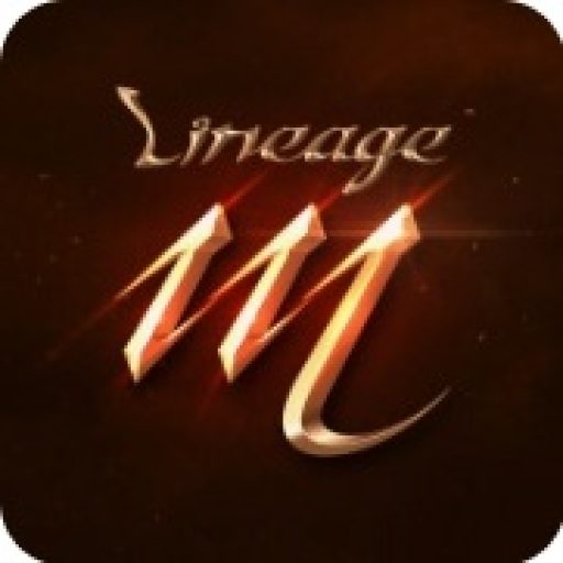 리니지M 매크로 HSJ